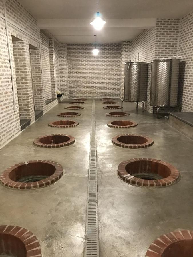 Begaso Family Winery Hotel Kvareli Exterior photo