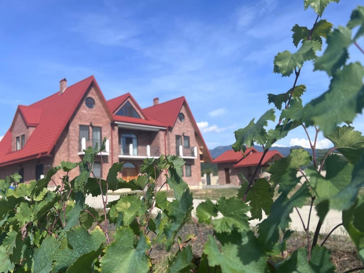 Begaso Family Winery Hotel Kvareli Exterior photo