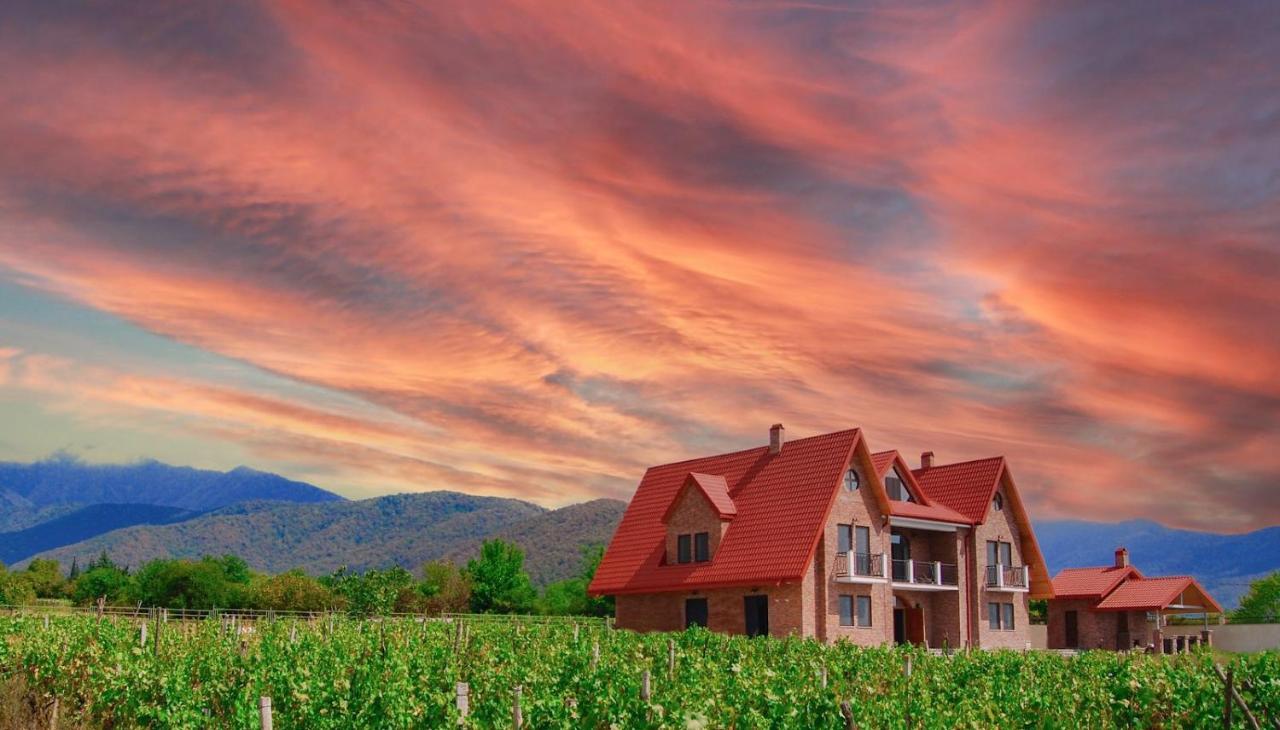Begaso Family Winery Hotel Kvareli Exterior photo