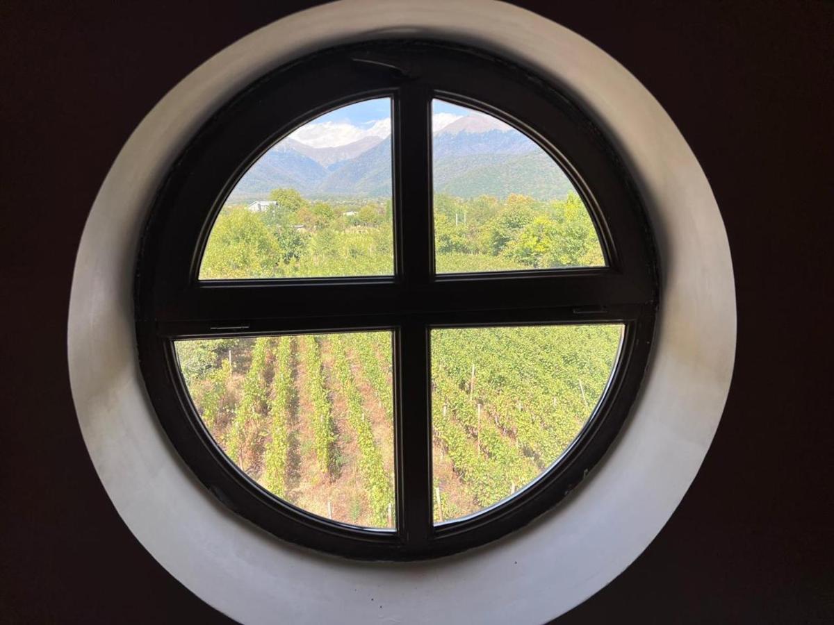 Begaso Family Winery Hotel Kvareli Exterior photo